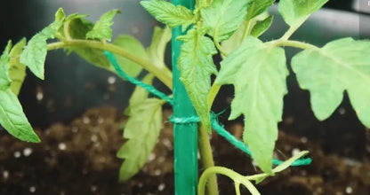 Hilo Jardín Verde 61m Suave Para Plantas Vigoro