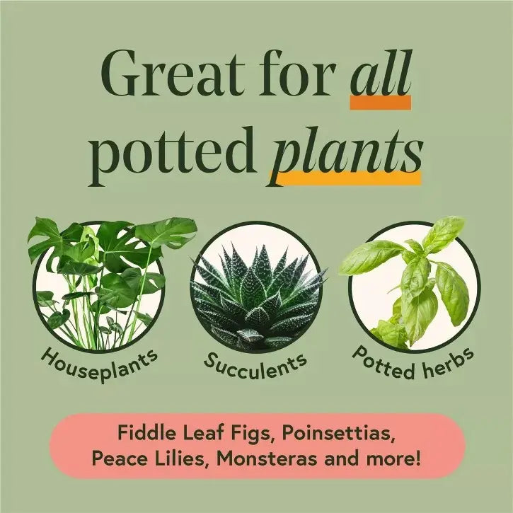 Kit Esencial Para Cuidado De Plantas Orgánico  We The Wild