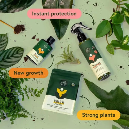 Kit Esencial Para Cuidado De Plantas Orgánico  We The Wild