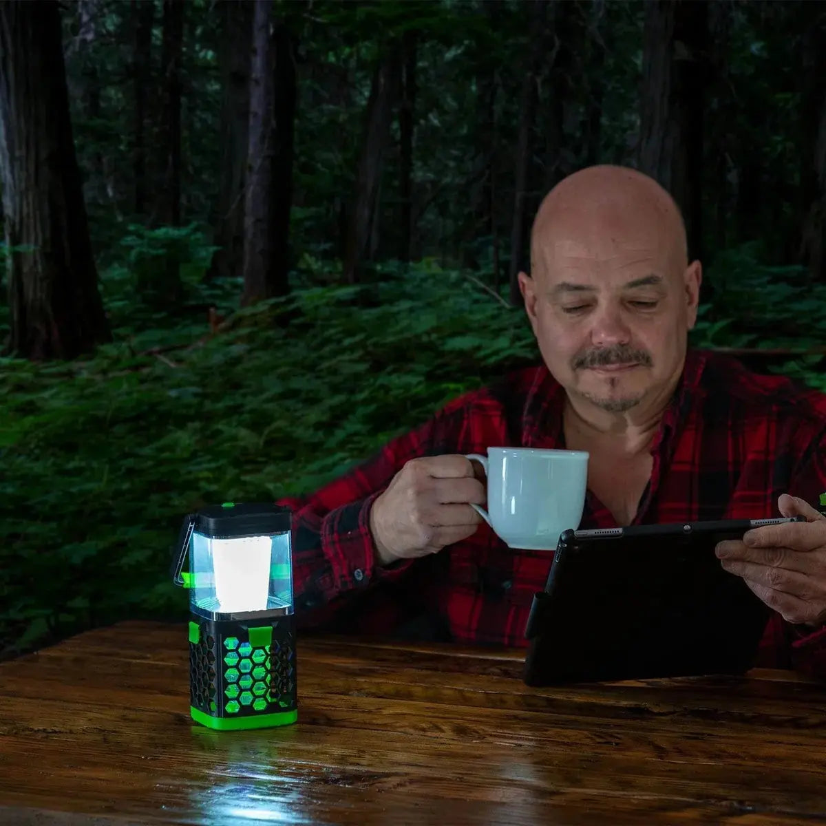Lámpara Mata Insectos Recargable USB con Zapper - LitezAll