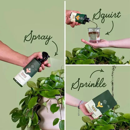 Kit Esencial Para Cuidado De Plantas Orgánico  We The Wild